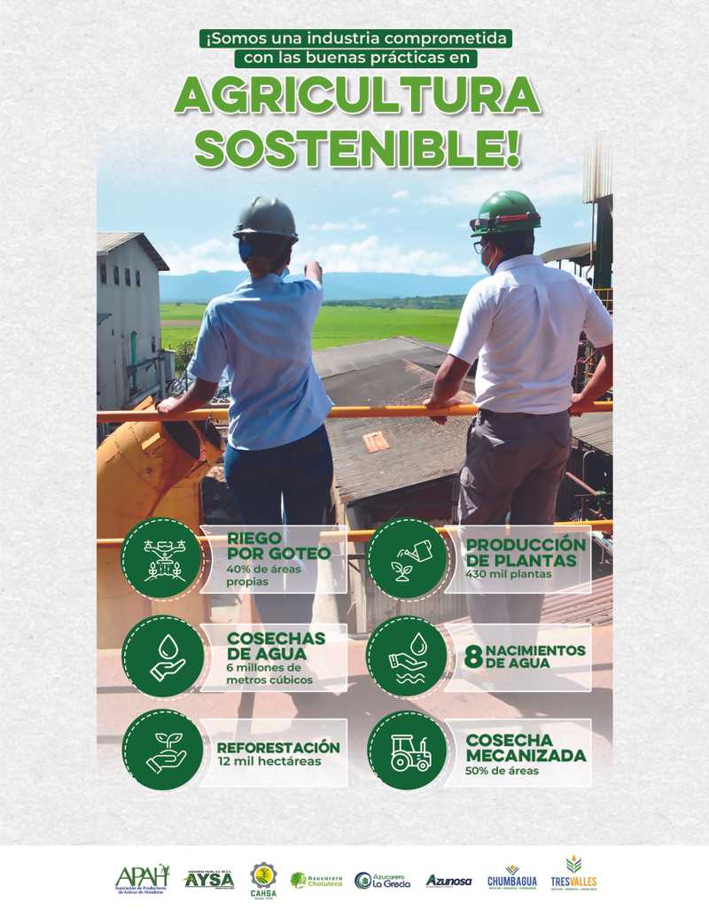 Imagen de la revista
