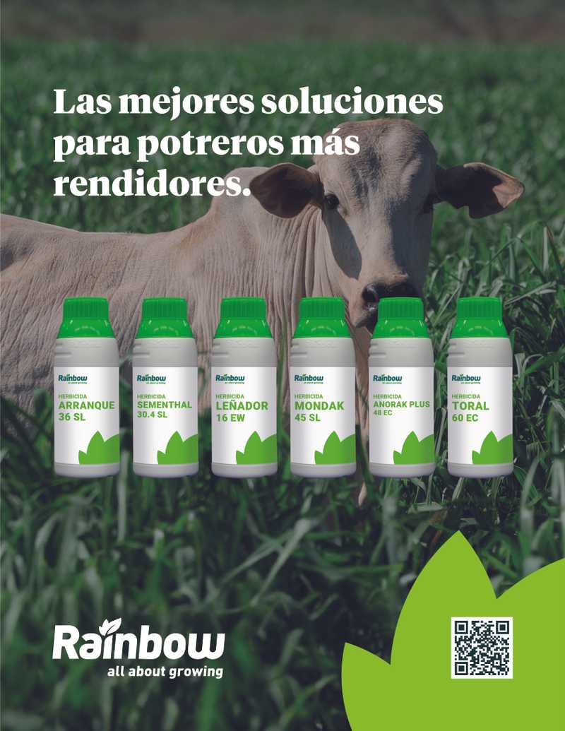 Imagen de la revista