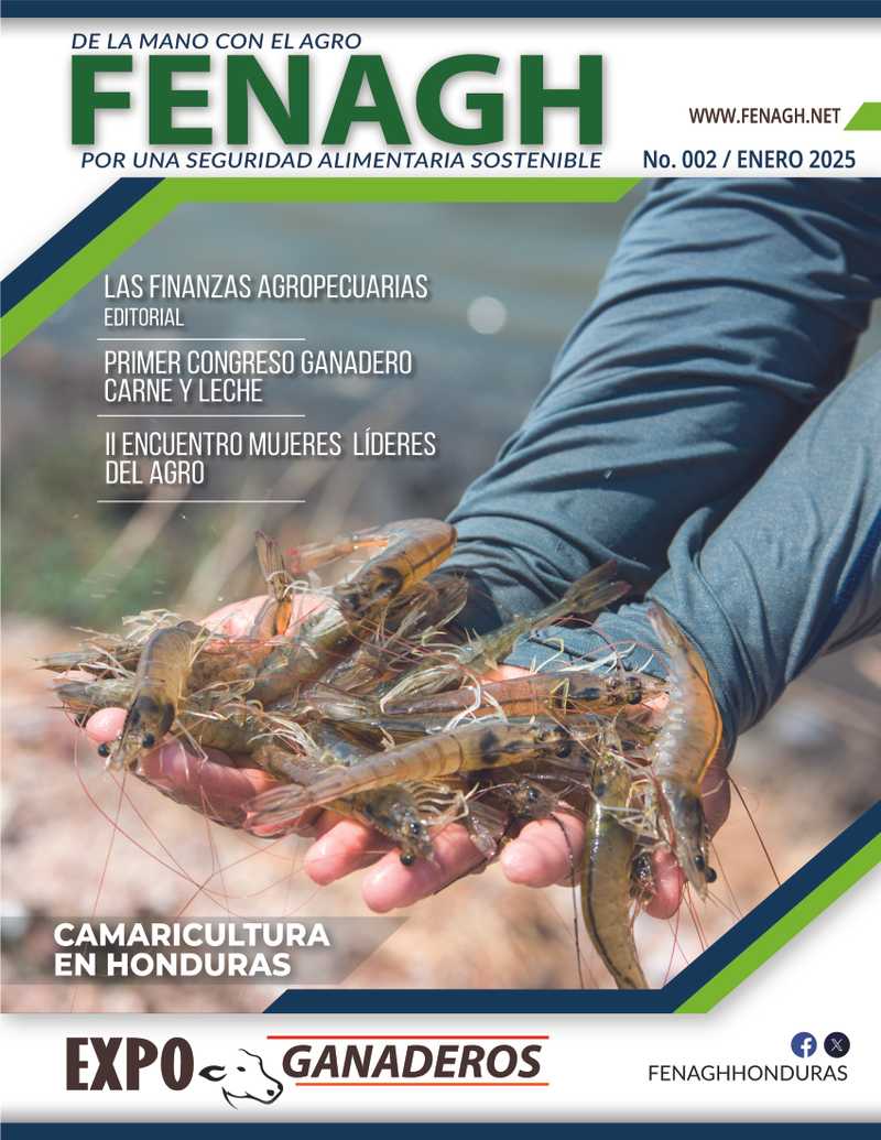 Imagen de la revista