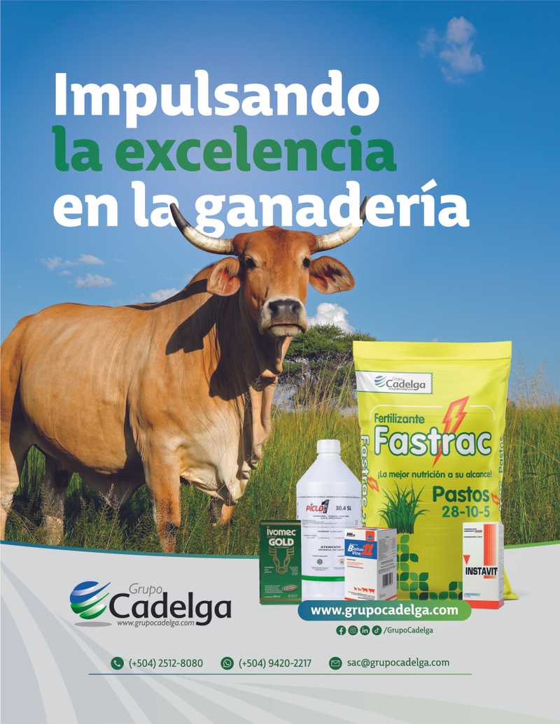 Imagen de la revista